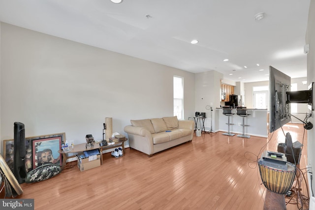 living room with light hardwood / wood-style flooring