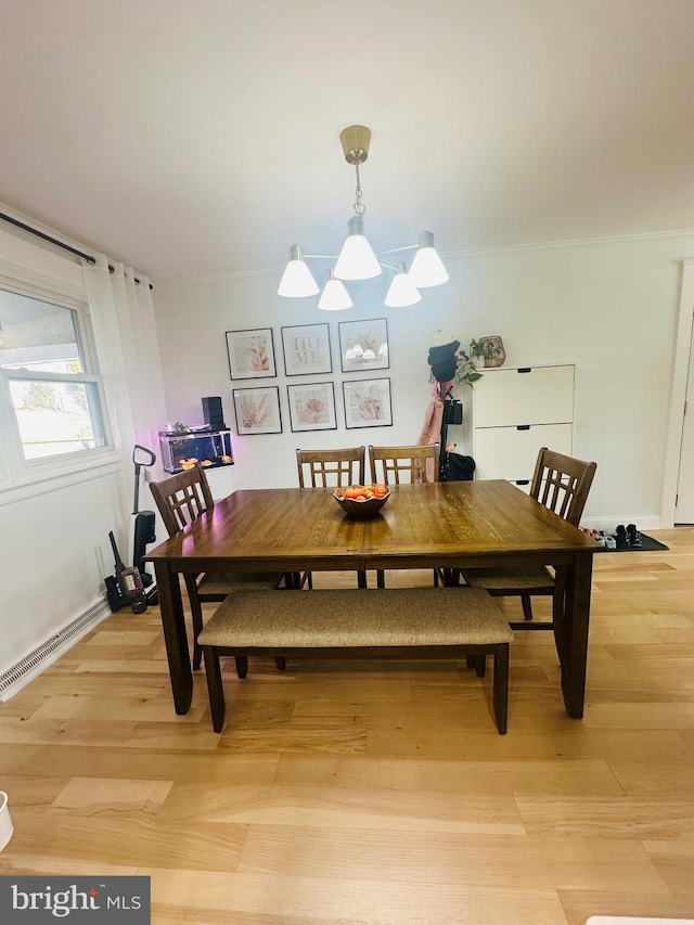 dining room featuring hardwood / wood-style flooring and a baseboard radiator