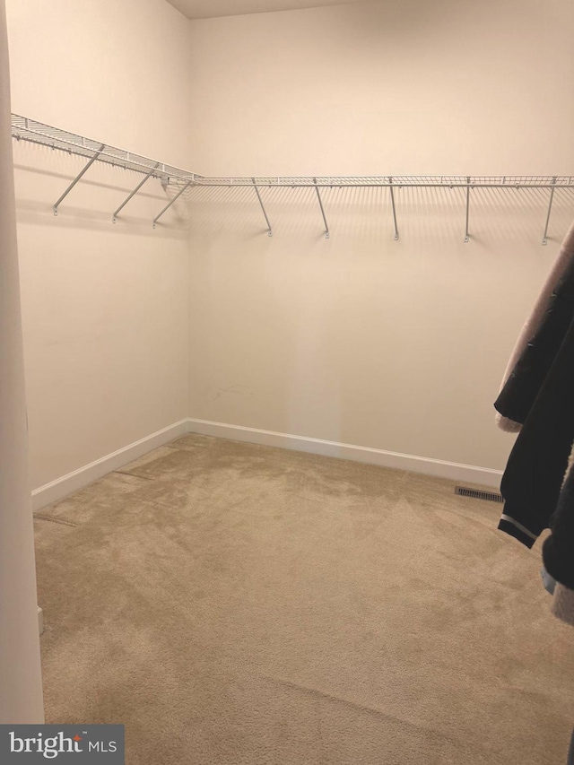 walk in closet with visible vents and carpet floors