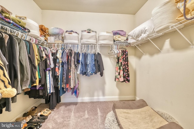 spacious closet with light carpet