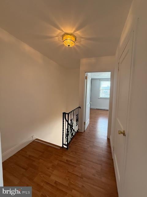 hallway featuring dark wood-type flooring