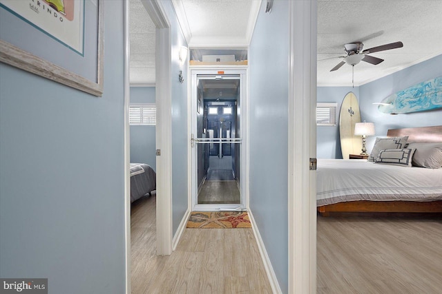 hallway with crown molding, light hardwood / wood-style floors, and a textured ceiling