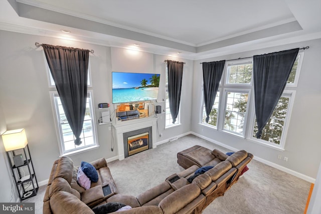 living room featuring crown molding, carpet flooring, and a raised ceiling