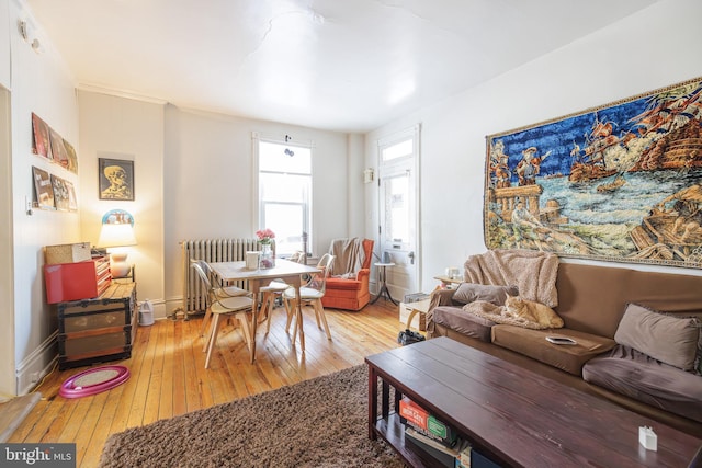 living room with radiator heating unit and light wood-type flooring