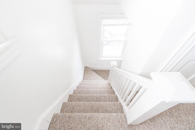 stairs featuring carpet floors