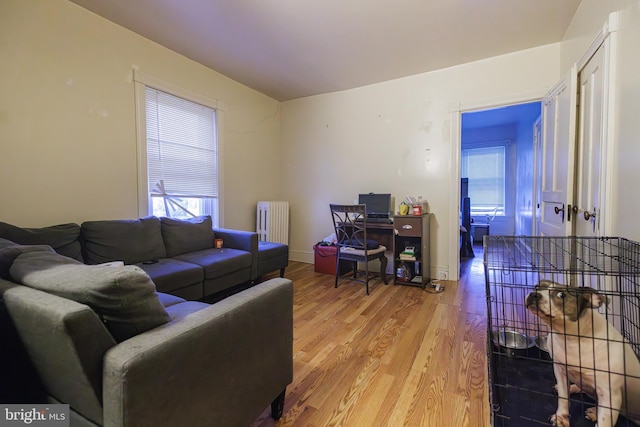 living room with radiator and wood-type flooring