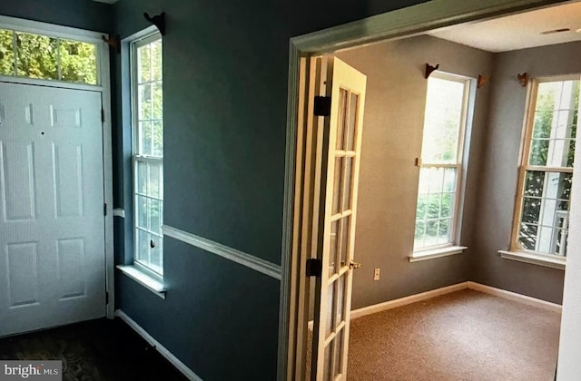 doorway to outside featuring a wealth of natural light and carpet floors