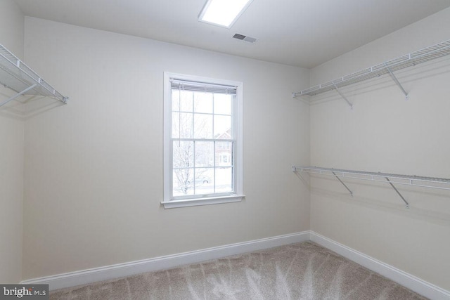 spacious closet featuring carpet floors