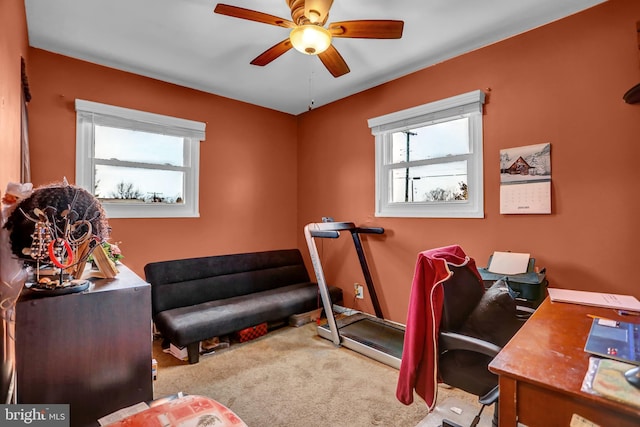 carpeted home office with ceiling fan