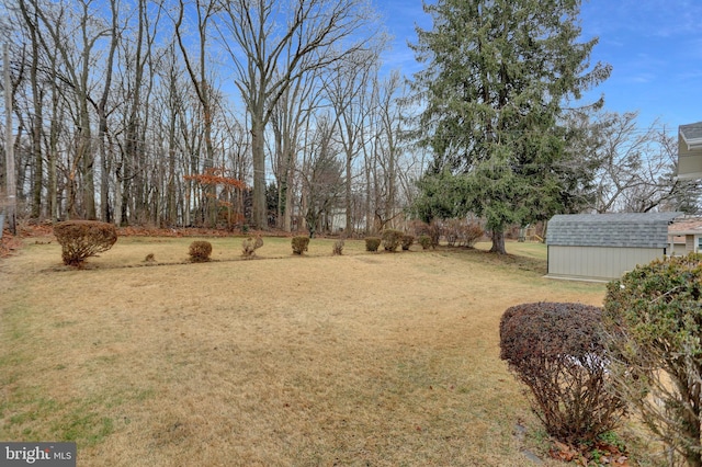 view of yard with a shed