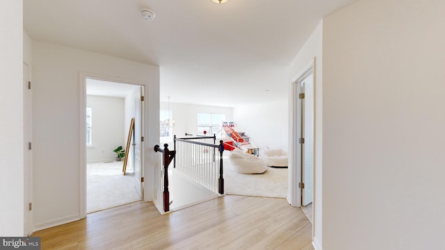 hallway with an inviting chandelier and light hardwood / wood-style flooring