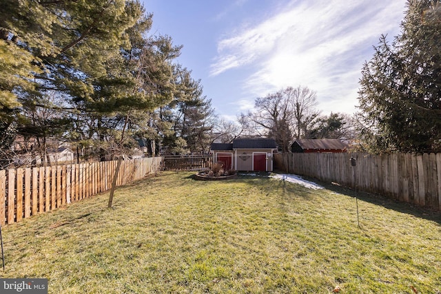 view of yard with a shed