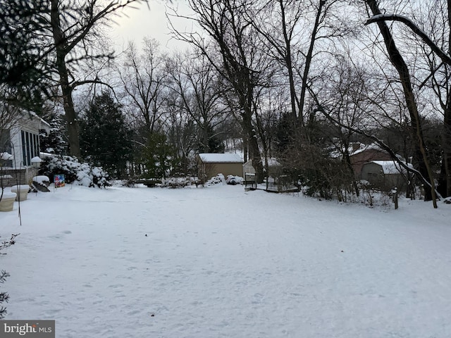 view of yard covered in snow