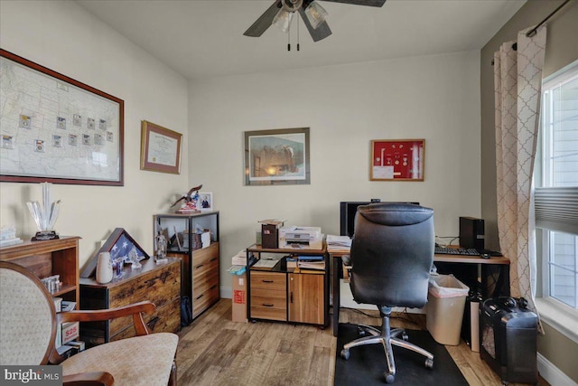 office area with ceiling fan and light hardwood / wood-style flooring