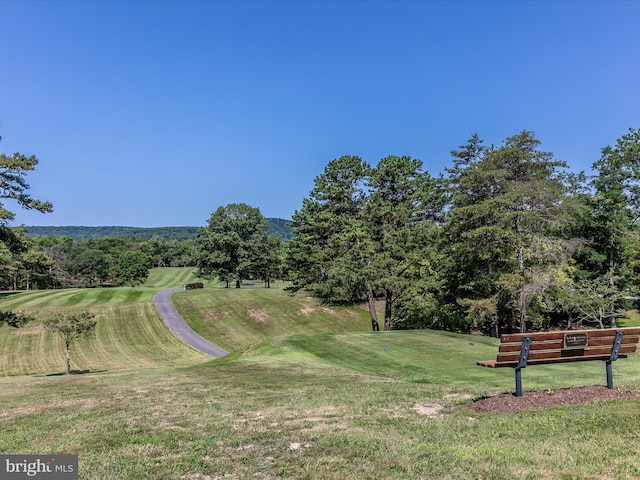 view of community featuring a yard