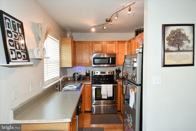 kitchen featuring stainless steel appliances, dark hardwood / wood-style floors, and sink