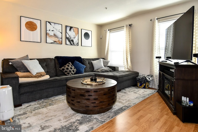 living room with light wood-type flooring