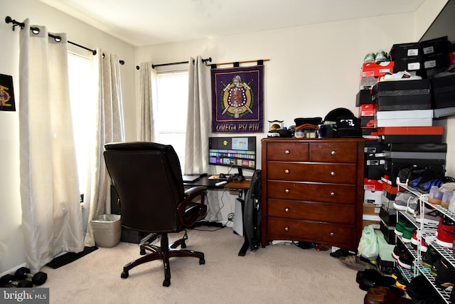 office space with light colored carpet