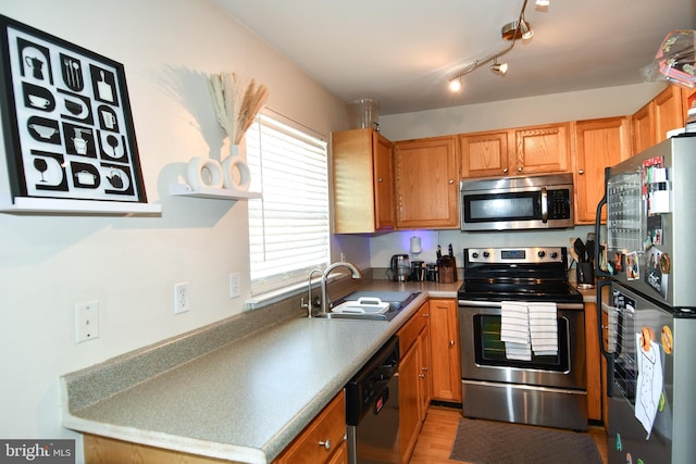 kitchen with light hardwood / wood-style flooring, sink, plenty of natural light, and stainless steel appliances