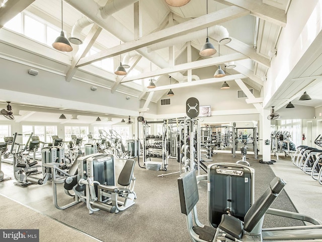 gym featuring high vaulted ceiling