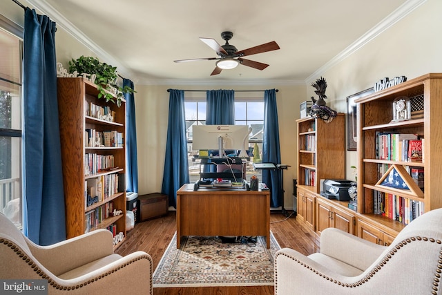 home office featuring ornamental molding, ceiling fan, and light hardwood / wood-style flooring