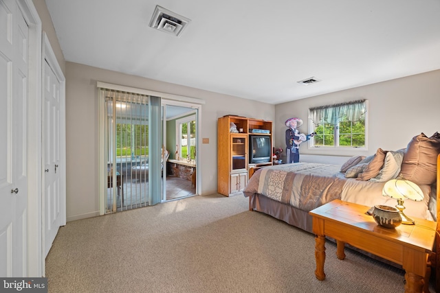 carpeted bedroom featuring multiple windows, a closet, and access to outside