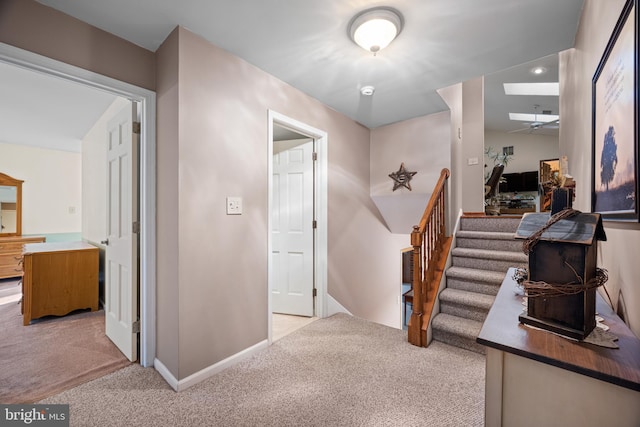 stairway with carpet