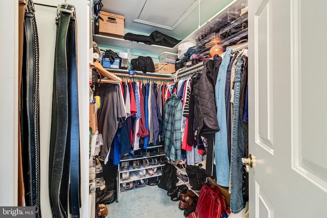 view of spacious closet