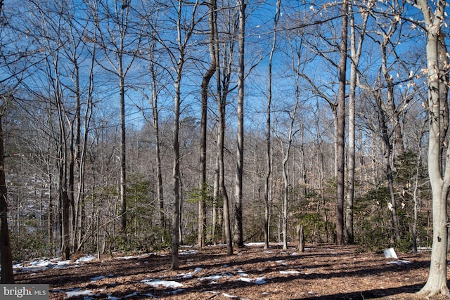 view of landscape