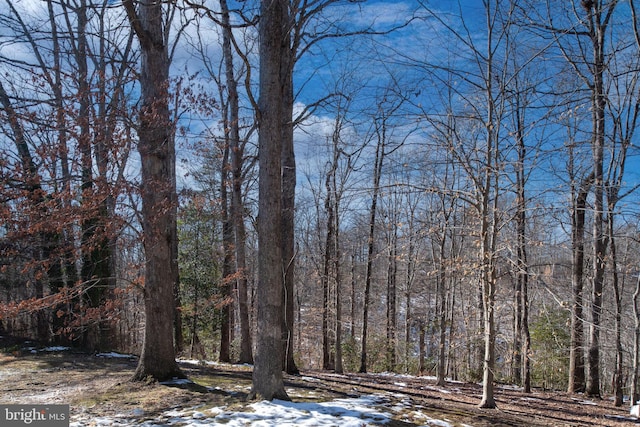 view of landscape