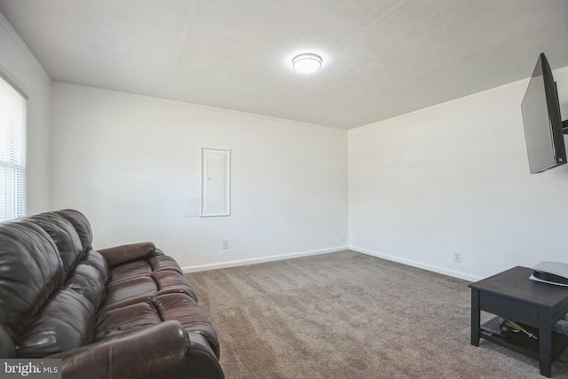 living room featuring electric panel and carpet flooring