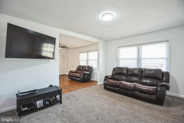 living room featuring ceiling fan and carpet