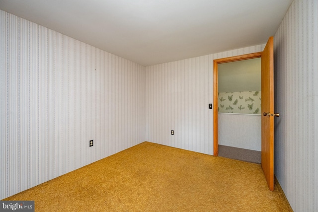 unfurnished room with carpet flooring