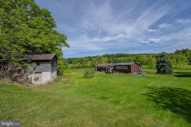 view of yard with a storage shed