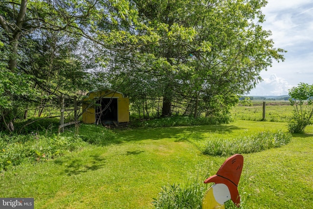 view of yard with a storage unit