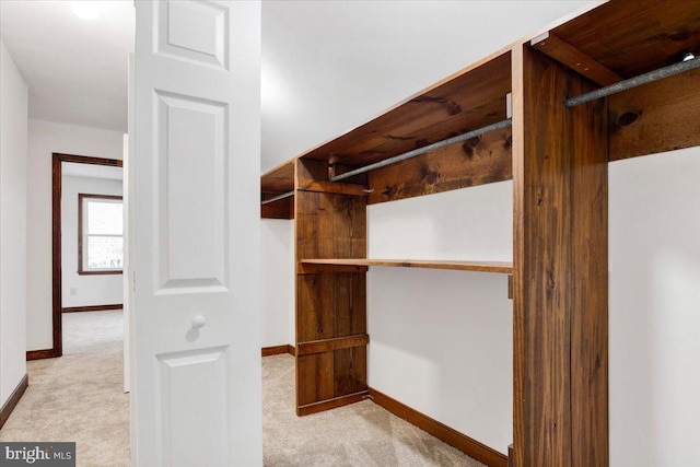 walk in closet with light carpet