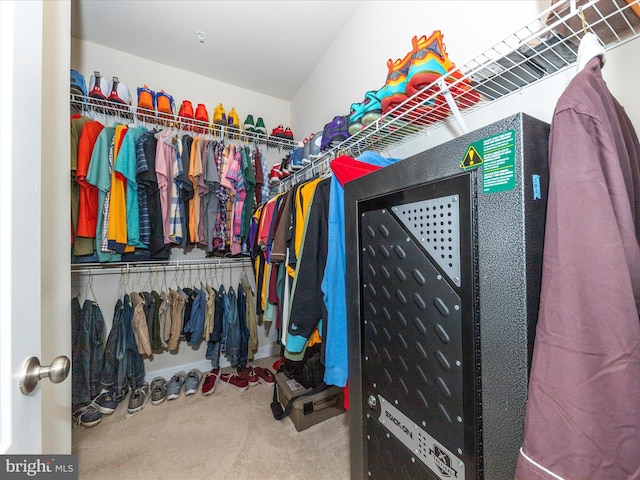 spacious closet featuring carpet flooring