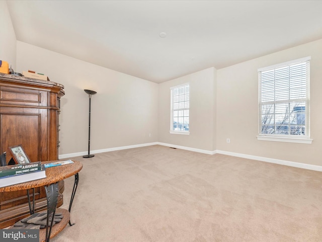 interior space with light colored carpet