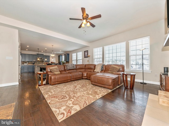 living room with ceiling fan and dark hardwood / wood-style flooring