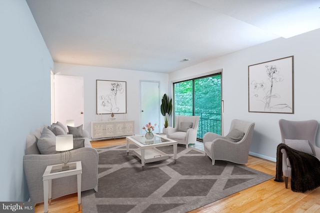 living room featuring wood-type flooring