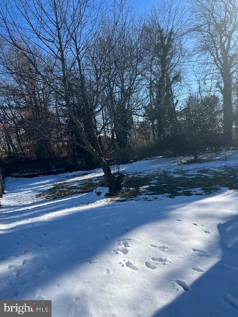 view of snowy yard