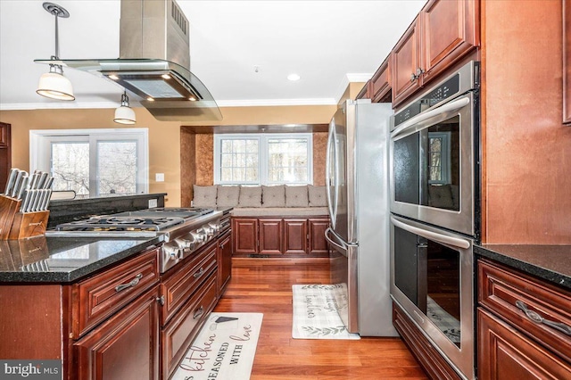 kitchen with hanging light fixtures, ornamental molding, island exhaust hood, stainless steel appliances, and light hardwood / wood-style floors