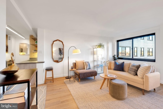 living room featuring light wood-type flooring