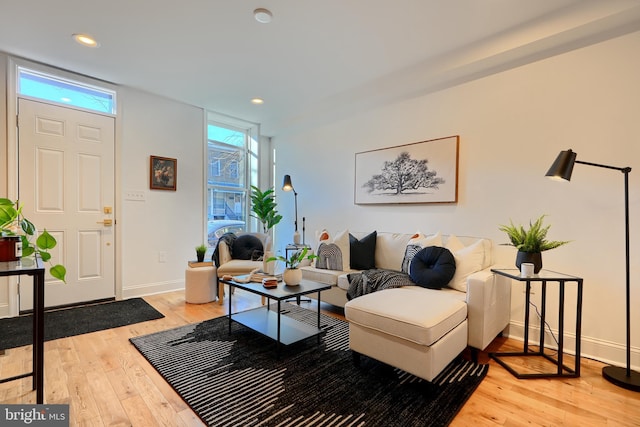 living room featuring wood-type flooring