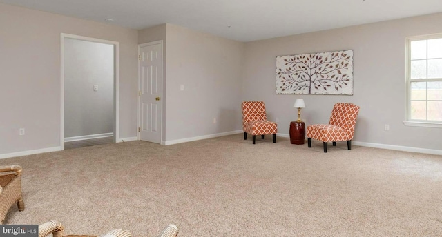 living area featuring carpet