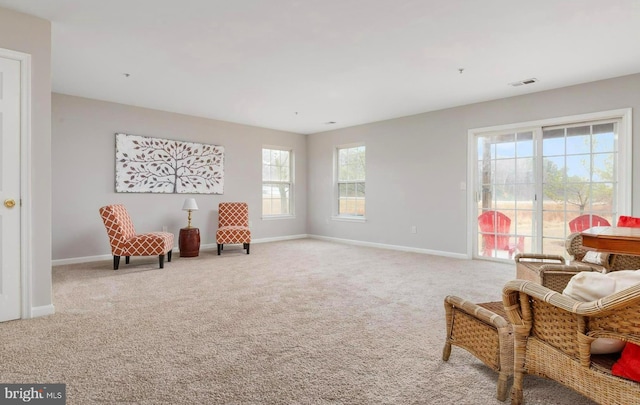 sitting room featuring carpet flooring