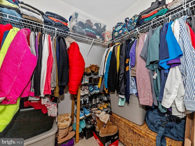 spacious closet featuring carpet