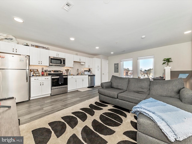 living room featuring sink, wood-type flooring, and electric panel