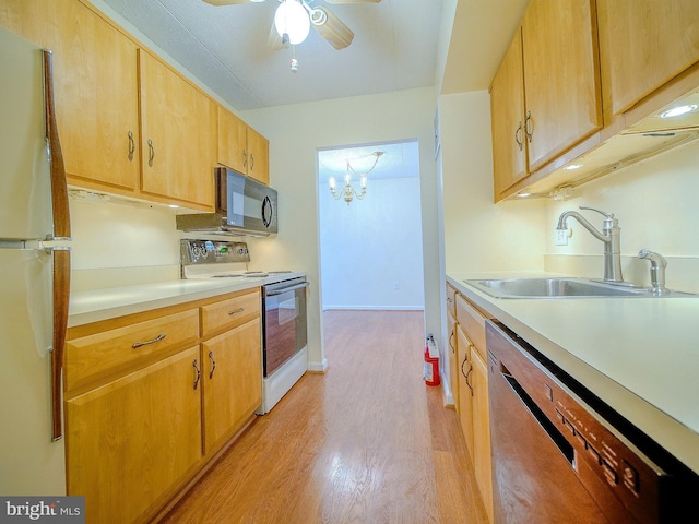 kitchen with dishwasher, fridge, sink, range with electric cooktop, and light hardwood / wood-style floors