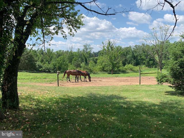 view of property's community with a rural view and a yard